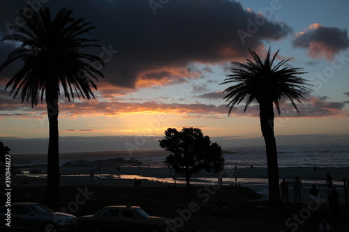 View of Camps Bay with silhouettes of tree and people having fun at beach under sunset in Cape Town, Western Cape Province, South Africa