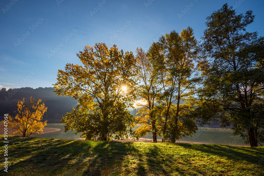 an into the light autumn shot in the lake of Gramolazzo, Tuscany regional park of Apuan Alps