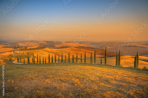 Wide angle view of summer sunrise over beautiful curved road with cypress trees rolling over the hills. Travel destination Tuscany  Italy