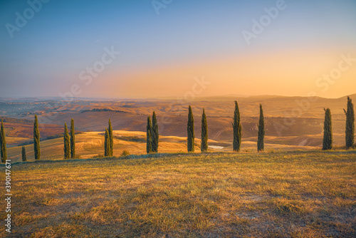 Summer sunrise over beautiful Tuscany landscape with cypress trees rolling over the hills. Travel destination Tuscany, Italy