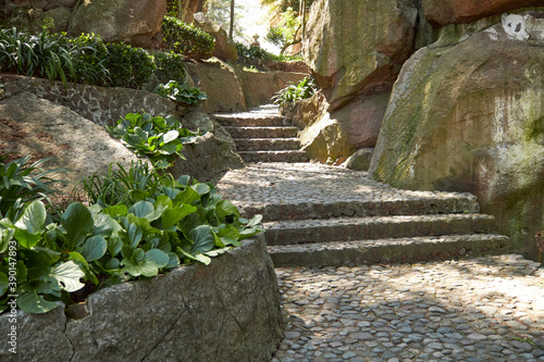 Escalinatas de piedra en un parque