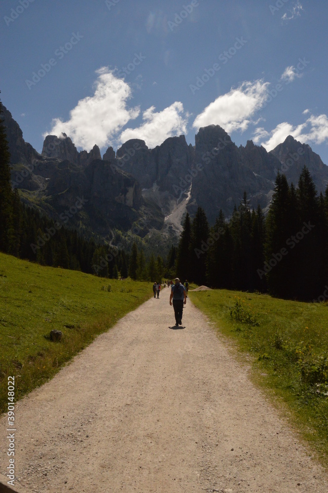 Hiking in the lush and dramatically beautiful Val di Fiemme and Passo Rollo in the Dolomites, Northern Italy Hiking in the lush and dramatically beautiful Val di Fiemme and Passo Rollo in the Dolomites, Northern Italy