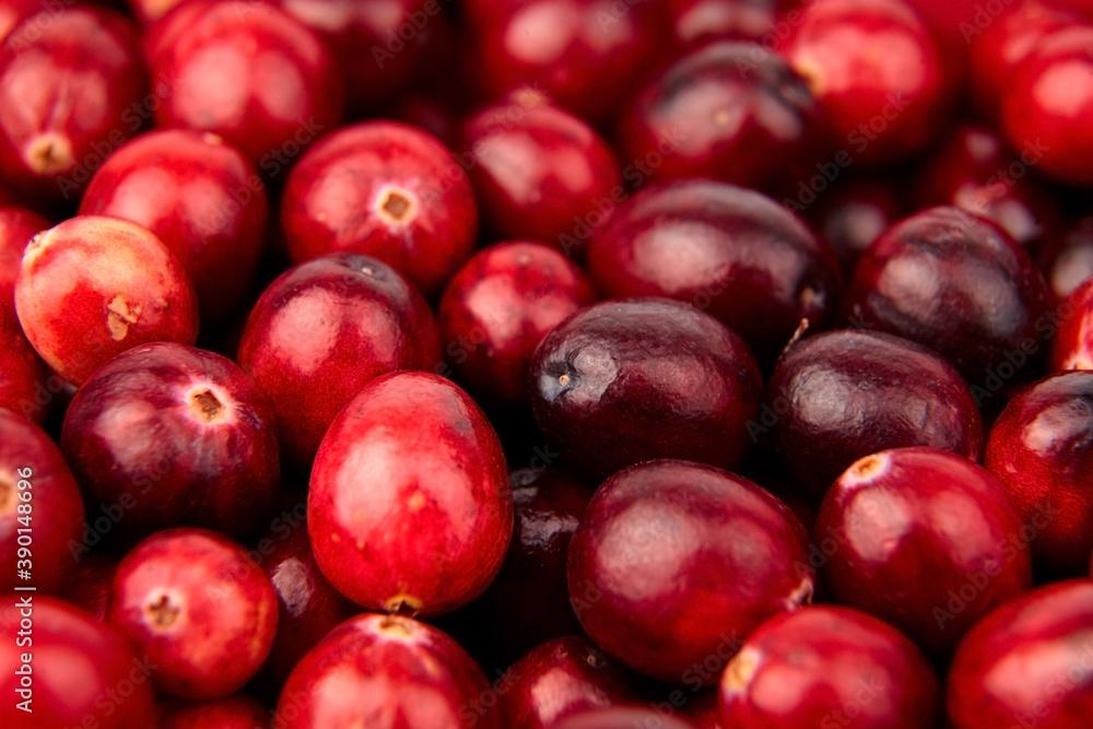 Cranberries, fresh red berries food background Cranberries, fresh red berries food background