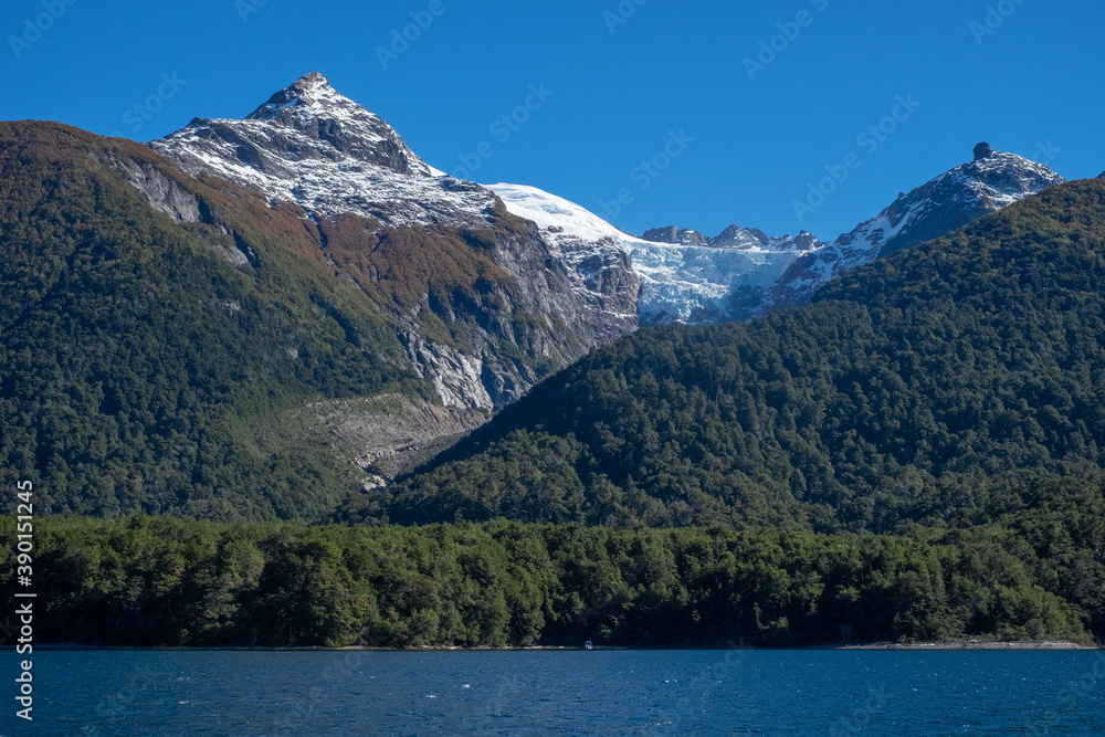 landscape of a river in a forest - patagonia argentina