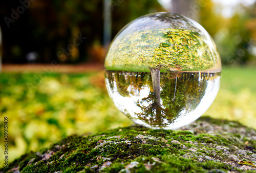 Lawn covered with yellow autumn leaves and a bare tree at the edge in the abstract misrepresentation of a glass ball on a stone slab