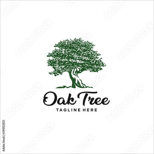oak tree logo design template silhouette vector green