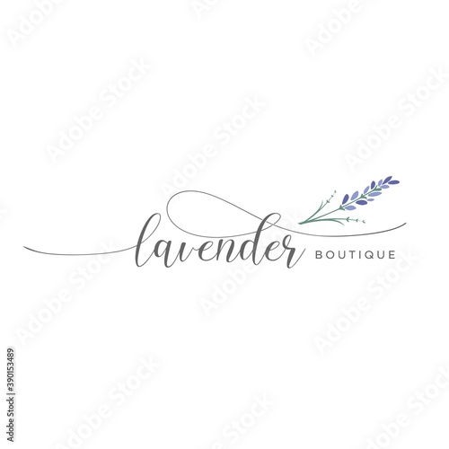 lavender vector illustration template 