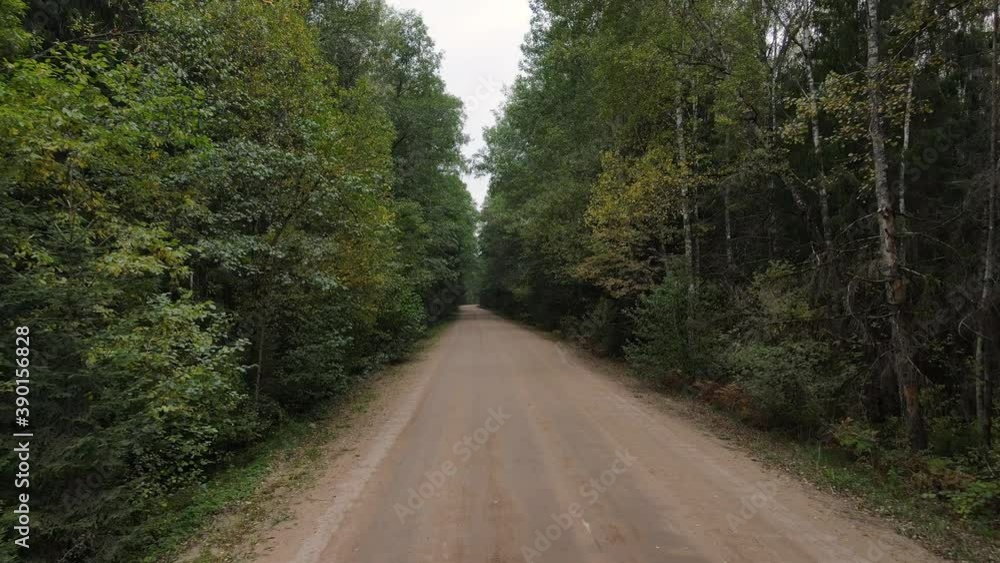 forest road drone view motion forest road drone view motion