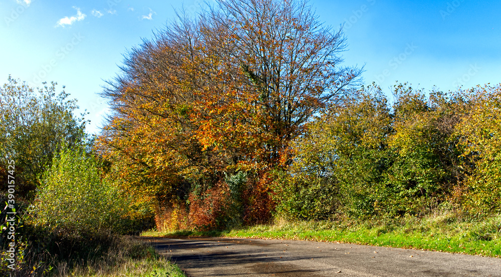 Rural roads in late autumn sunshine