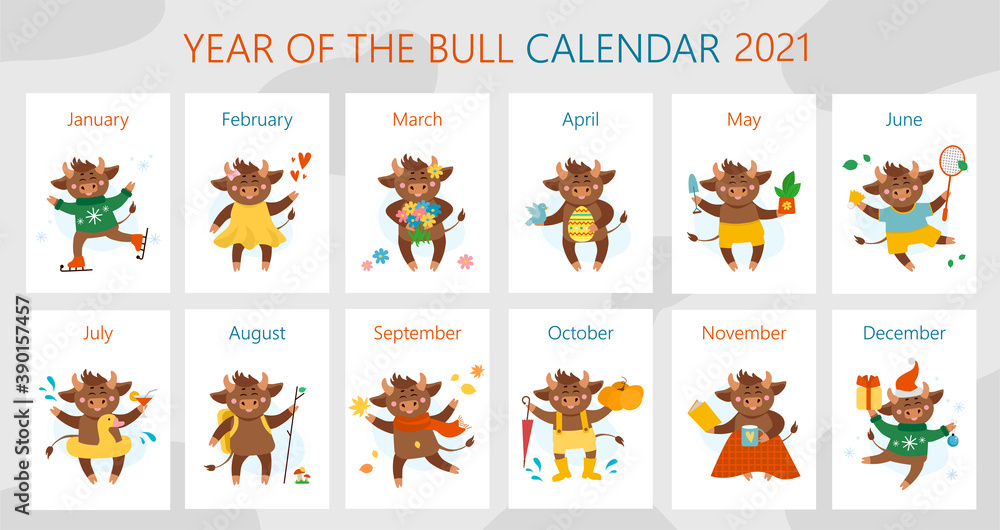 Vector calendar illustrations for 2021. Year of cow, ox or bull concept. Christmas holidays, xmas illustrations Vector calendar illustrations for 2021. Year of cow, ox or bull concept. Christmas holidays, xmas illustrations