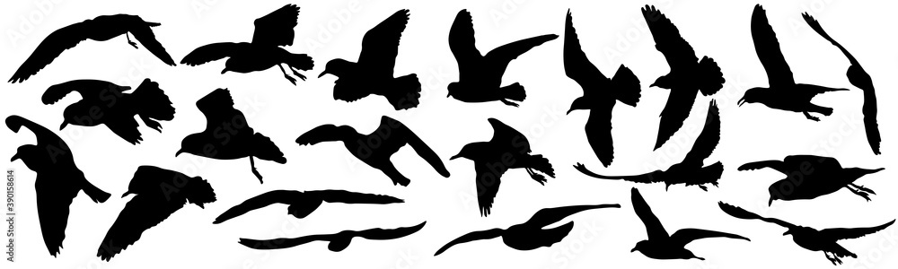 Set of black silhouettes of birds (gulls). Vector illustration Set of black silhouettes of birds (gulls). Vector illustration