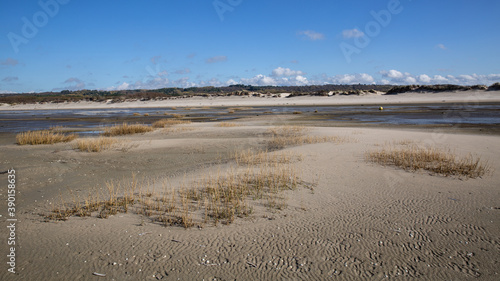 St Cécile Plage 12