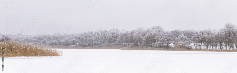 Snowy and frozen pond in cloudy weather