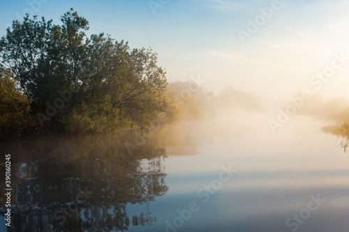 Early morning on the river. The fog shrouded trees. The sunlight illuminates the mist above the water.