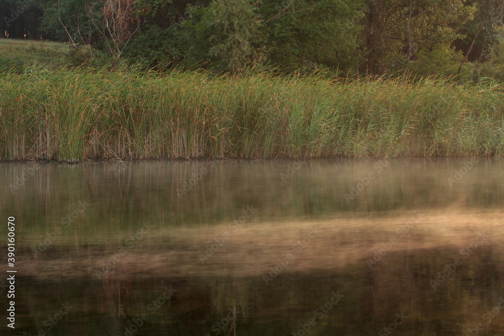 The shore with steaming water at dawn The shore with steaming water at dawn