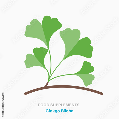 Vector flat isolated icon of food supplements - Ginkgo Biloba