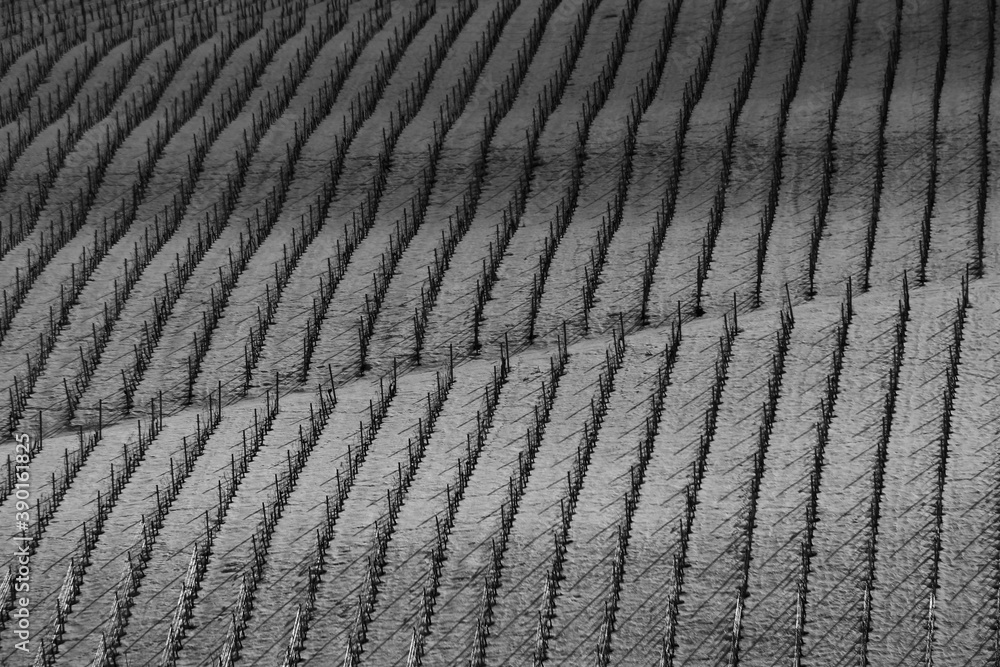 paesaggio di collina con neve