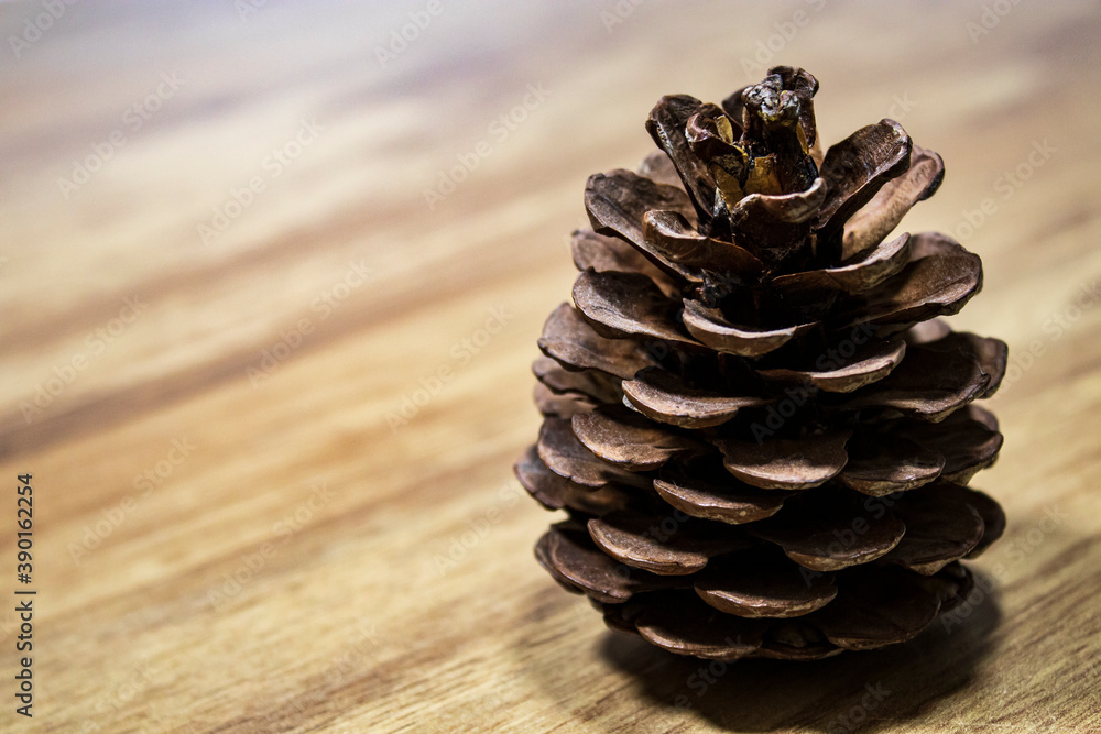 One pine cone on the wooden table. One pine cone on the wooden table.