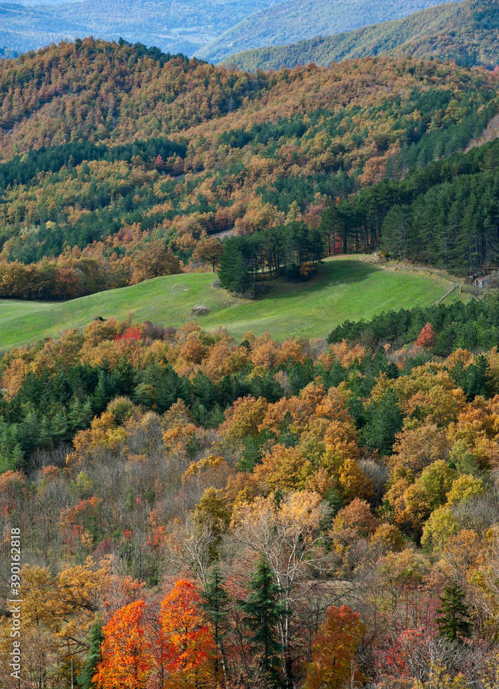 Autumn colors in Casentino,Tuscany. Landscape foliage.
