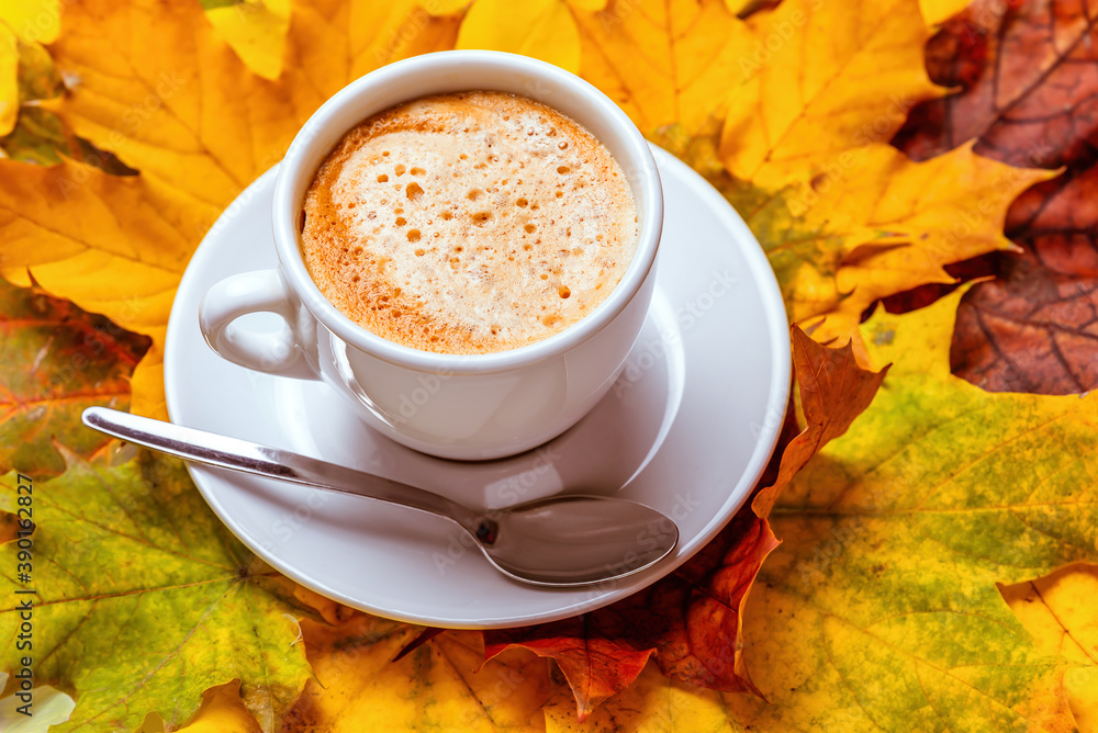 White cup with coffee on a saucer with a spoon on a background of autumn leaves. isolate on white background White cup with coffee on a saucer with a spoon on a background of autumn leaves. isolate on white background