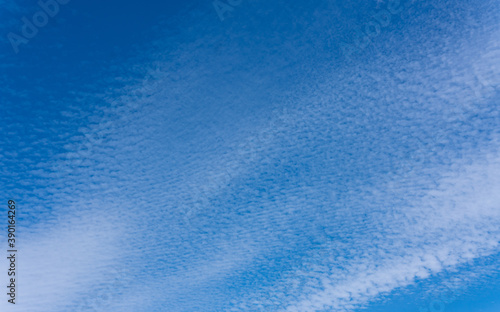 Blue sky with many ripple clouds. Fluffy clouds background