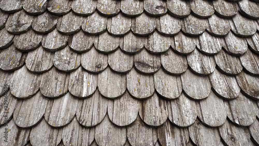 Fototapeta premium wall covered by wooden tile
