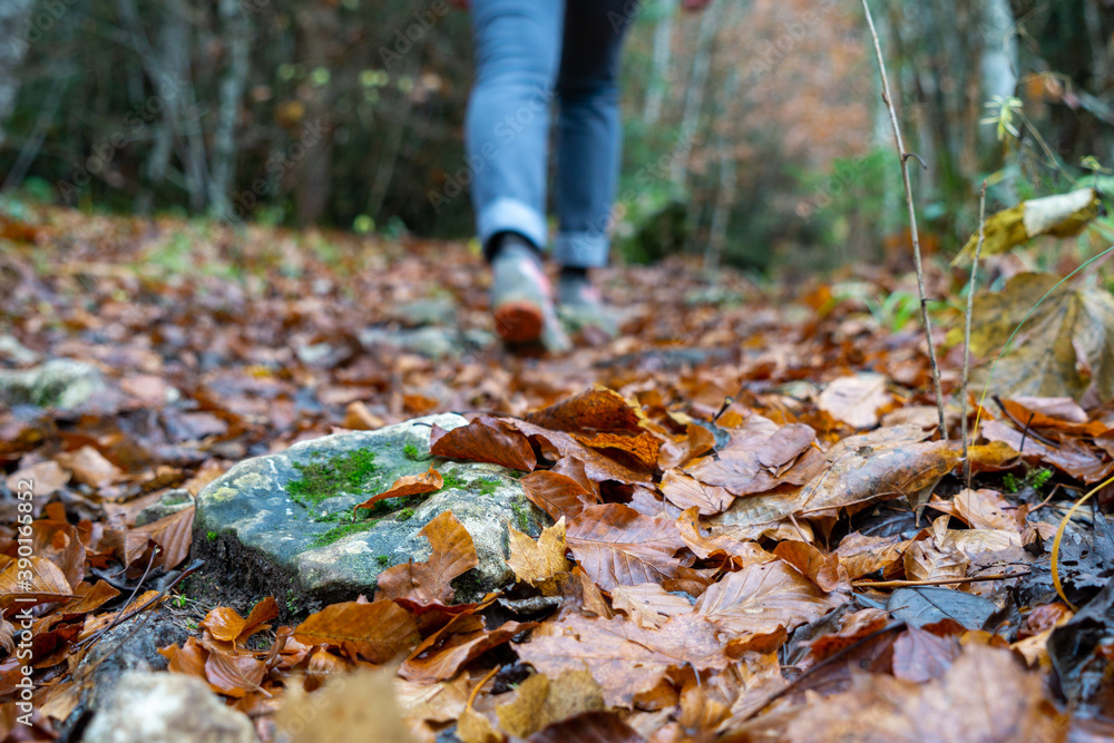 Obraz premium Donautal bei Beuron