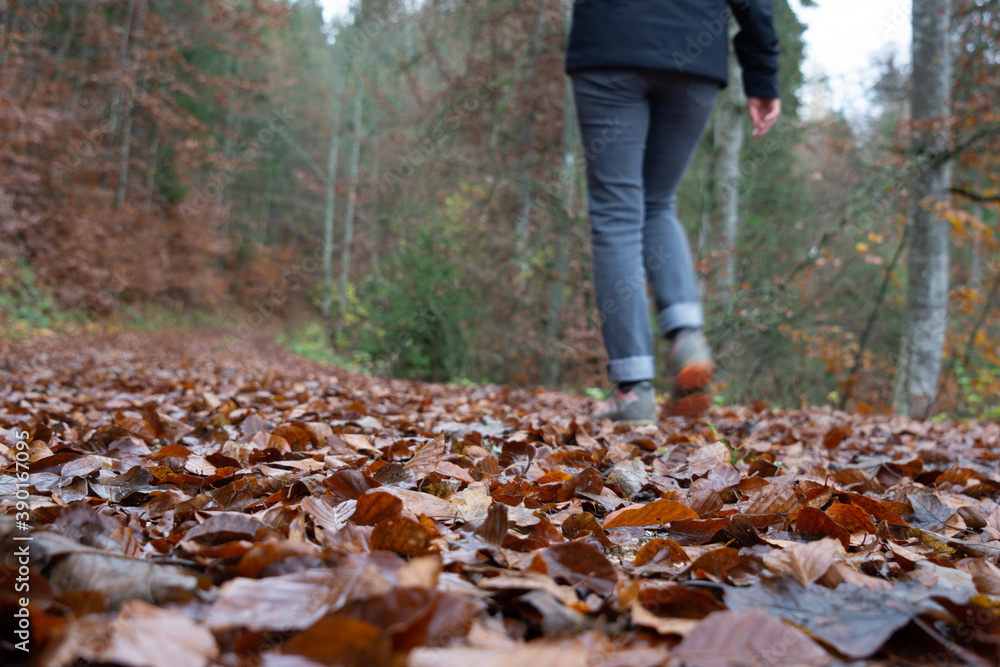 Herbst im Oberen Donautal bei Beuron