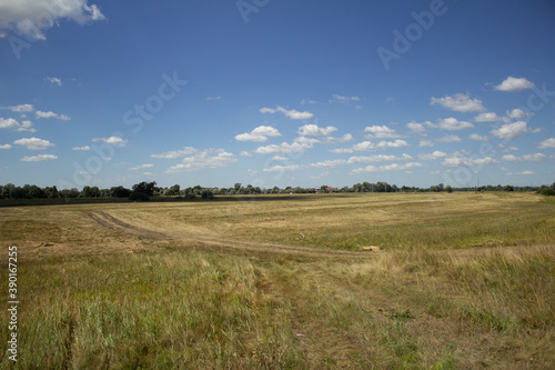 summer field landscape with clouds 