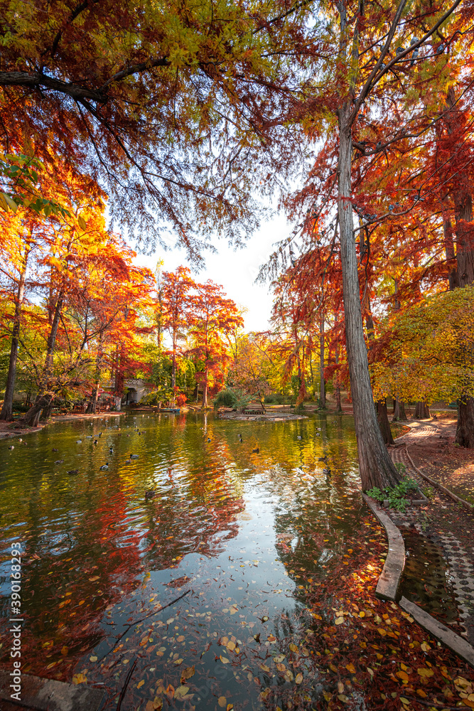 Autumn morning sunrise in Carol Park from Bucharest with amazing fall coloured tree leaves and blue sky