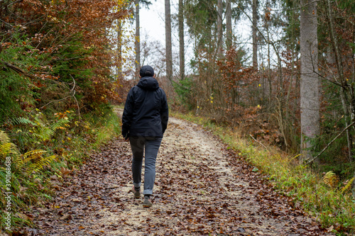 Wallpaper Mural Herbst im Oberen Donautal bei Beuron Torontodigital.ca