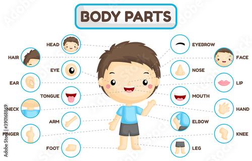 A Vector Set of Boy Body Parts with Detailed Part of the Body 
