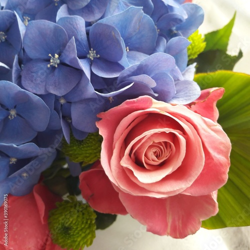 Bouquet di rose e ortensie photo