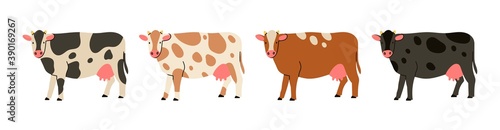 Set of four Cows standing and looking in camera. Hand drawn colored trendy Vector illustration. Funny characters. Cartoon style. Flat design. Different colors. Isolated on white background