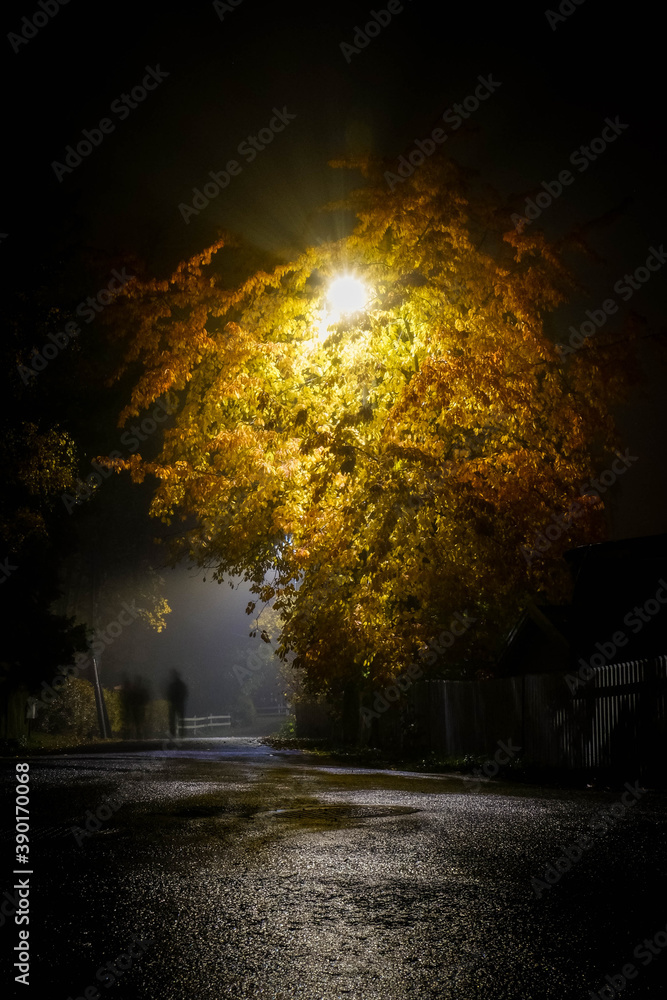 Foggy October night. Fog is highlighted with street lights. Beautiful warm soft light diffusion. Autumn leaves a complete Halloween evening atmosphere. 
