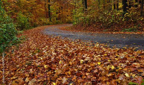 Schleudergefahr; Rutschgefahr auf nasser mit Herbstlaub bedekckter Strasse