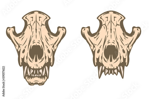 animal_23