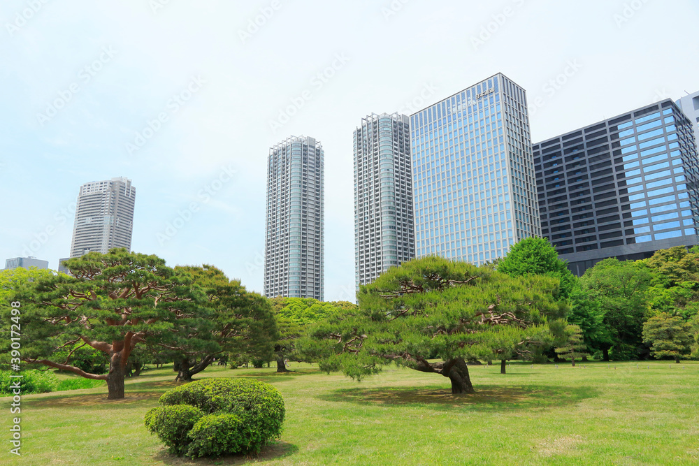 Obraz premium 浜離宮庭園と汐留シオサイト