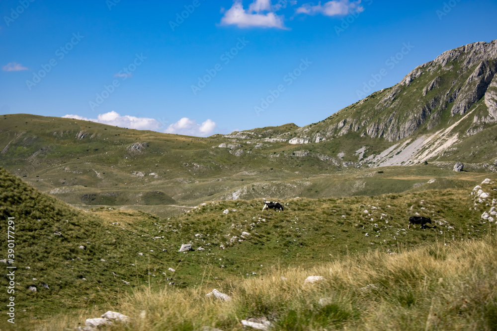 Fantastic mountains of Montenegro. Picturesque mountain landscape of Durmitor National Park, Montenegro, Europe, Balkans, Dinaric Alps, UNESCO World Heritage Site.