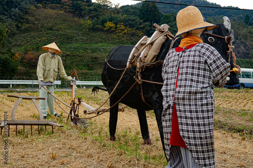 scarecrows works at the Japanese farm