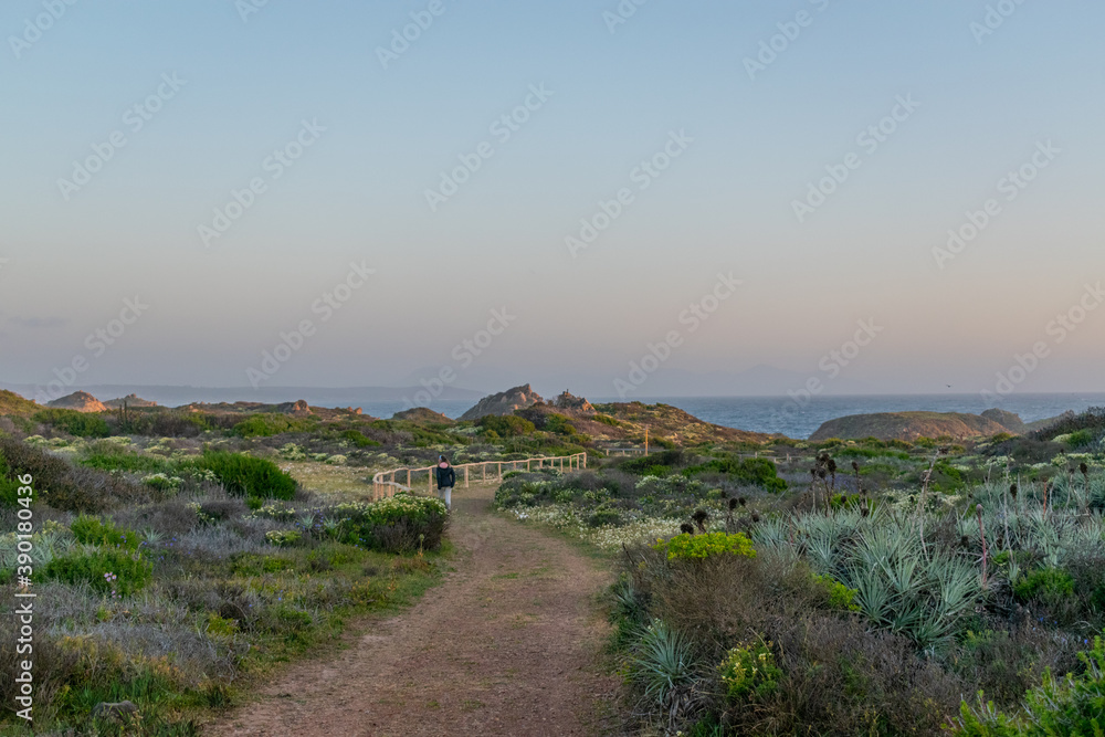 Fototapeta premium Trail at the coast of central Chile on a sunset light