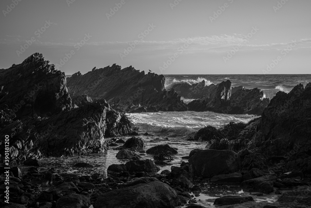 black and white picture of a rocky coast 