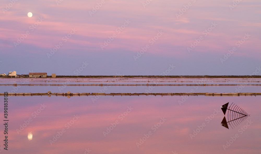 Salins