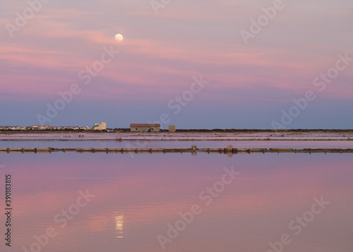 Salins de Gruissan