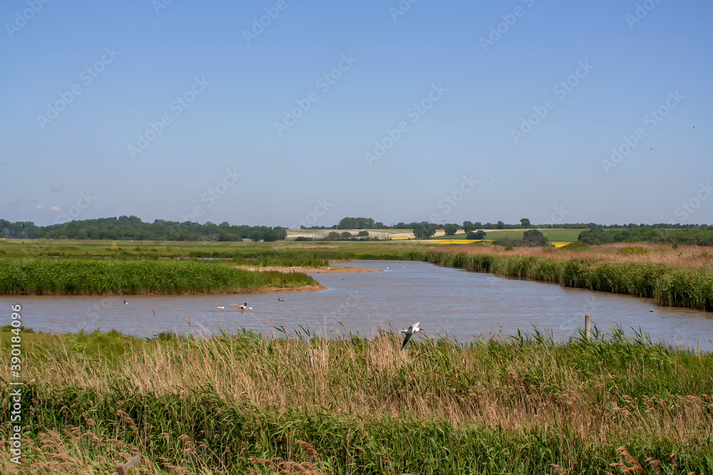 Trimley Marshes Nature Reserve near Felixstowe, Suffolk Trimley Marshes Nature Reserve near Felixstowe, Suffolk