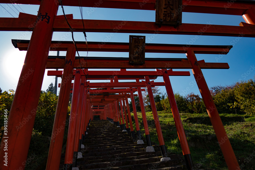 repetitive shinto shrines on the hill