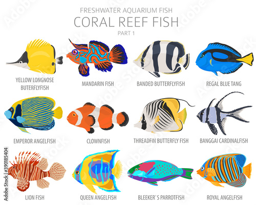 Coral reef fish. Freshwater aquarium fish icon set flat style isolated on white