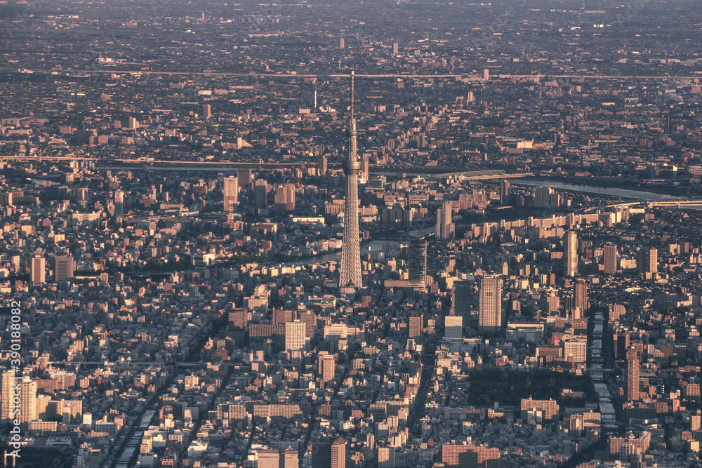 Aerial view of Tokyo Skytree tower in city Aerial view of Tokyo Skytree tower in city