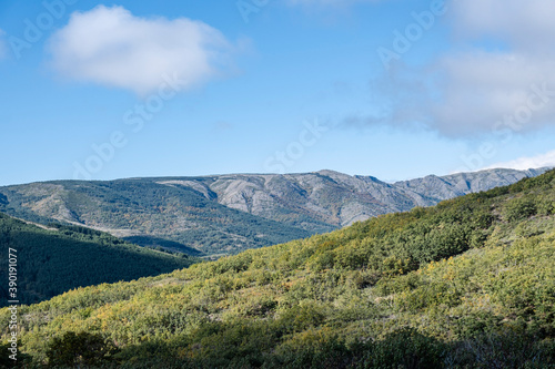 Sierra Norte de Guadalajara Natural Park, Cantalojas, Guadalajara, Spain