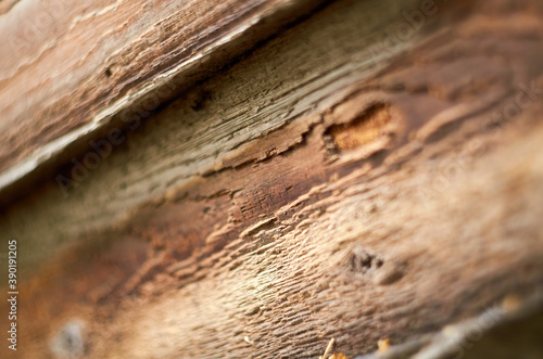 Photo of brown wood texture with natural patterns